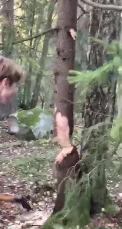 Casual Lumberjack