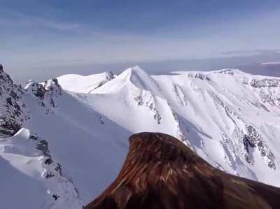 When you strap a camera to an Eagle's back and just let it fly.