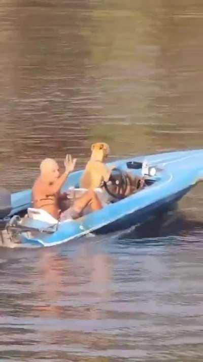 Dog drives owner around in their boat lol (music from source)