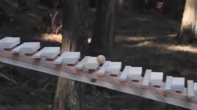 This is amazing! An enormous xylophone in the woods of Kyushu, Japan plays a Bach tune when a wooden ball rolls down each &quot;key.&quot;