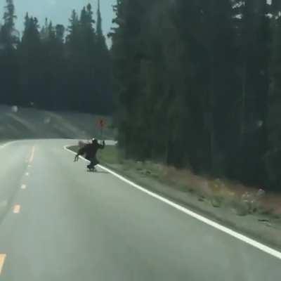 Deer tries to hit skateboarder.