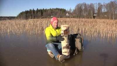 Man killed by a log