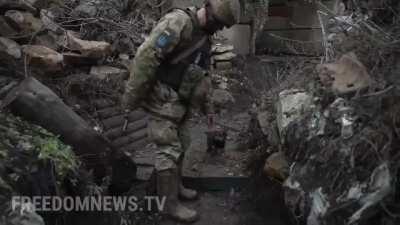 Meet 'Rambo', a pup guarding post with Ukranian soldiers.