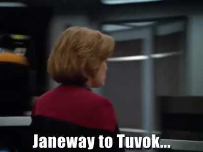 Tuvok, what have your team found?