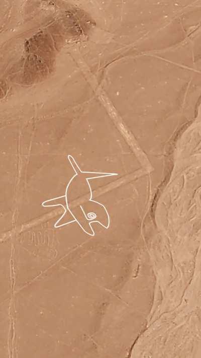 2,000 year old Nazca Lines in the desert that can only be seen from a plane - could ancient humans have drawn this without help?