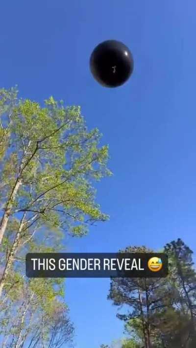 Gender Reveal didn't go as expected