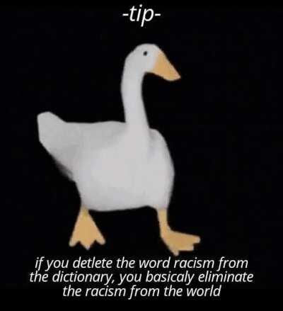 I think we did it guys, racism no more