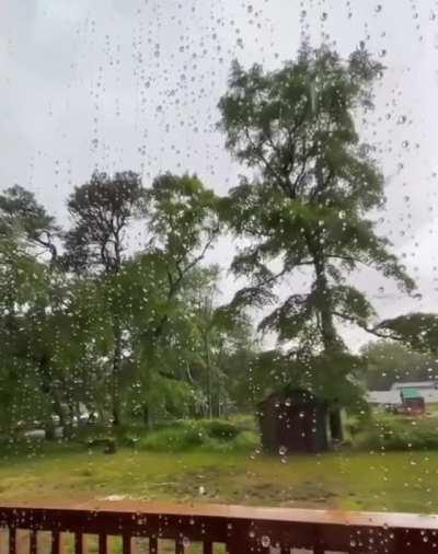 🔥 This Tree getting Struck by Lightning 🔥