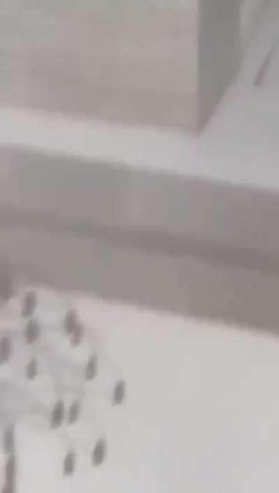 Video of the explosion at Beirut Port