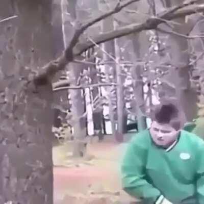 HMF while I climb this tree