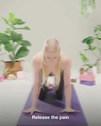 Hide the Pain Harold Deepfaked into a Yoga Instructor.