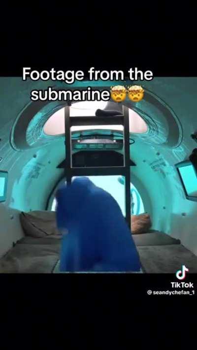 Footage from the submarine 🤯🤯