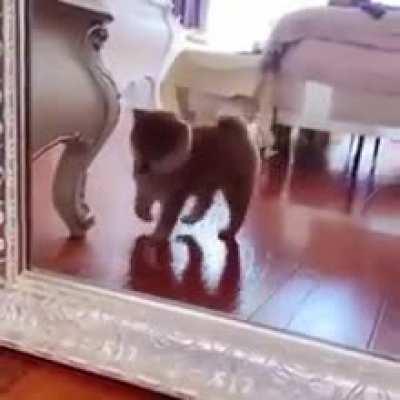 checking out in mirror