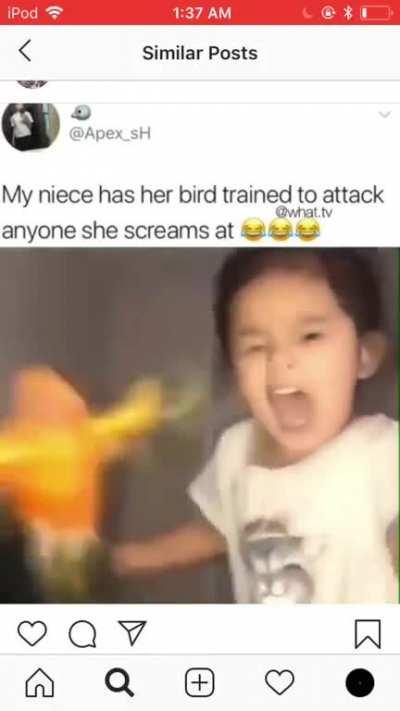 Little kid's bird on attack mode