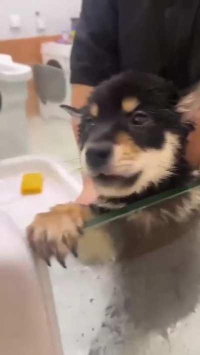 Let me go, I'm already clean