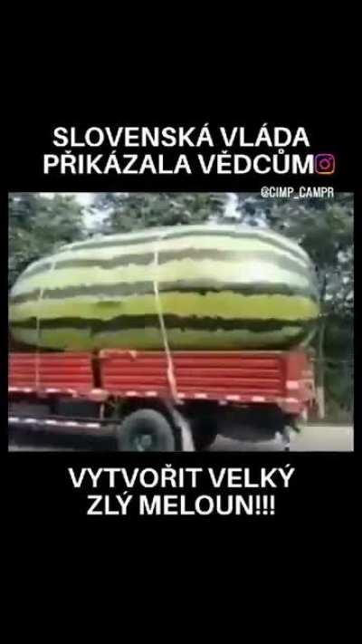 Peak Slovak bioengineering 