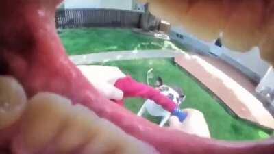 Gopro inside his mouth, Doggy going for a ride