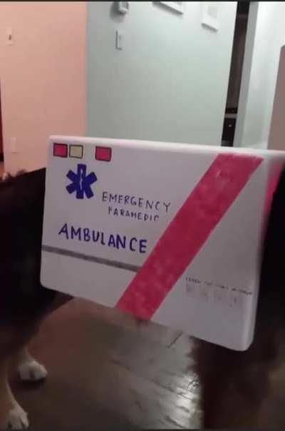 Dog ambulance!