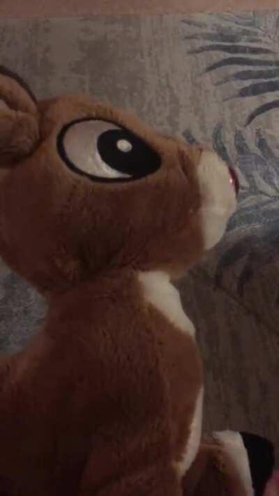 my sister’a possesses Rudolph plushie...