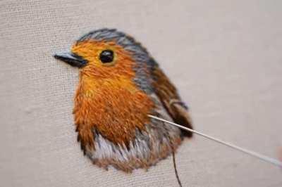 European Robin