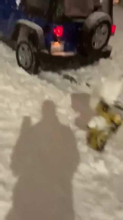 Seattle woman trying to run over pedestrians for hitting her car with a snowball