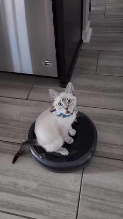 (OC) Finally Conquered Roomba