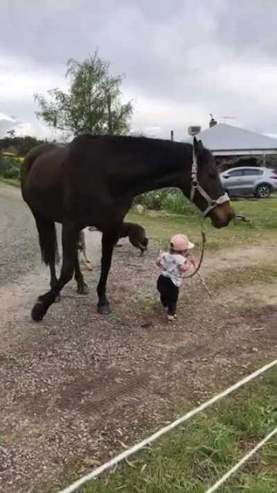 Recording a toddler leading a horse