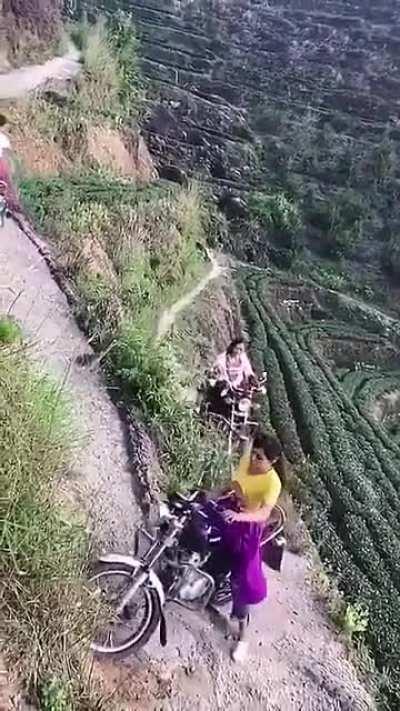 Tea farming looks scary