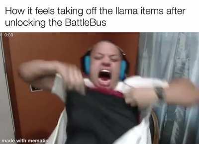 .00001 seconds after unlocking Battle Bus (OC)