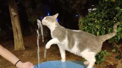 She always sits on the water fountain and asks passerbys to activate it 