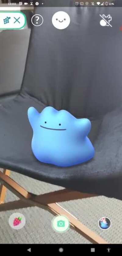 Ditto Appreciation Post