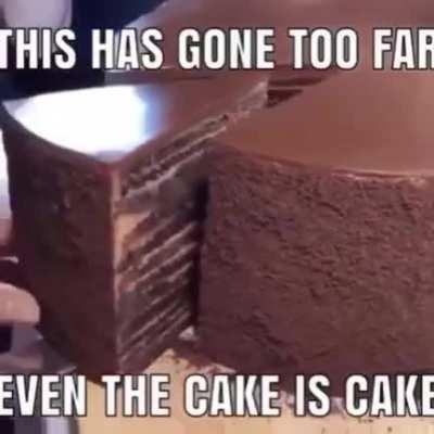 The cake is a lie