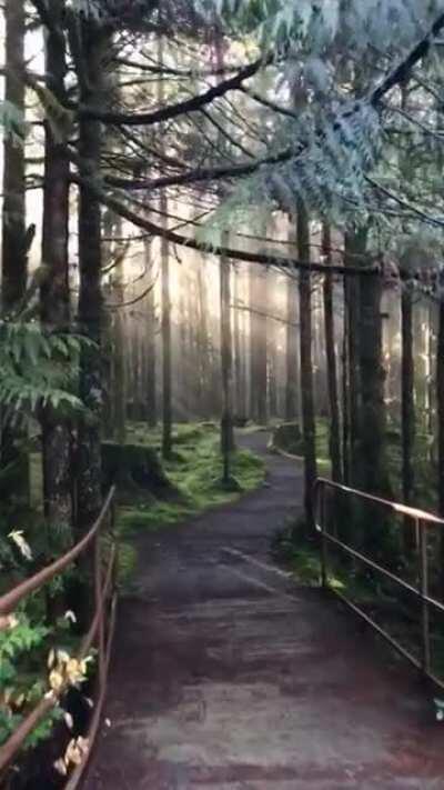 🔥 This stunning hiking trail 🔥