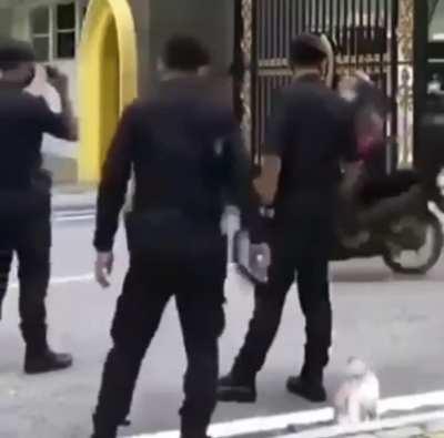 a brutal demonstration of police brutality