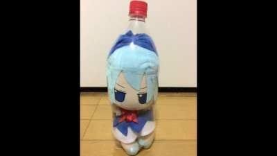 cirno day