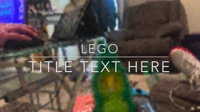 LEGO