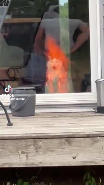 sAdiStIC PERSOn SETs a pOOr cAt on FiRE