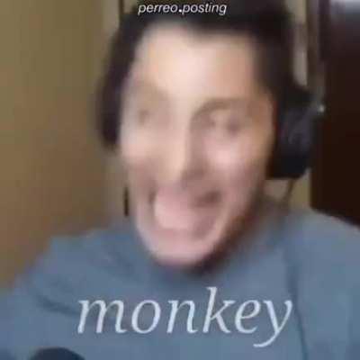 Monkey