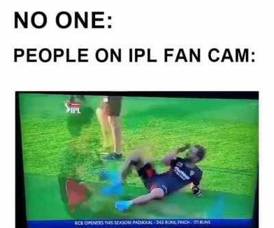 All my homies hate IPL fan Cam