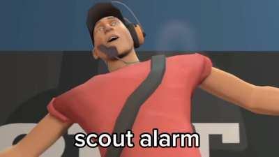 Scout Alarm