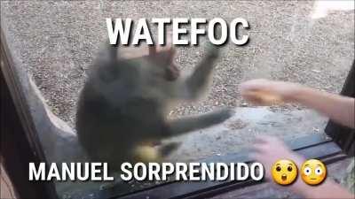 WATEFOC MANUEL