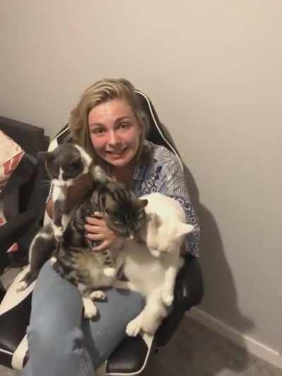 Woman tries to pose with all of her three cats together WHAT COULD POSSIBLY GO WRONG??