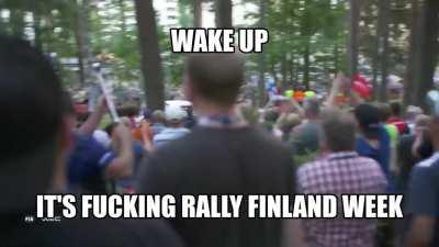 It's Rally Finland week!