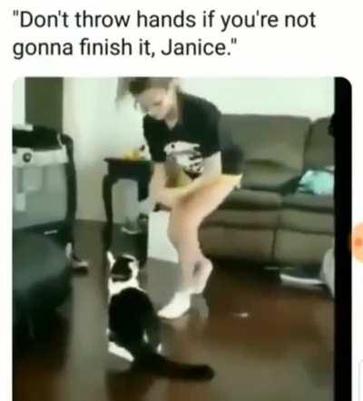 Cat gets justice