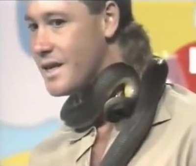 Never forget when Steve Irwin got bit by a snake on TV live and laughed instead of panicking, 1991