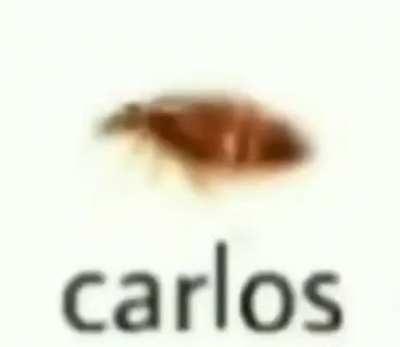 Carlos