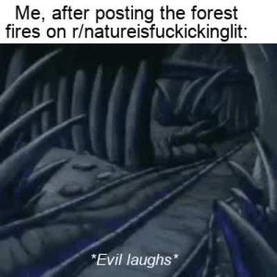 *Evil laughs*