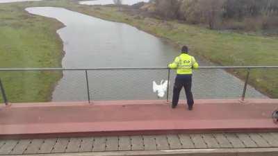 Removing a swan from a railroad bridge