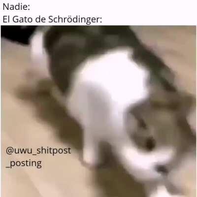 Schrödingers cat