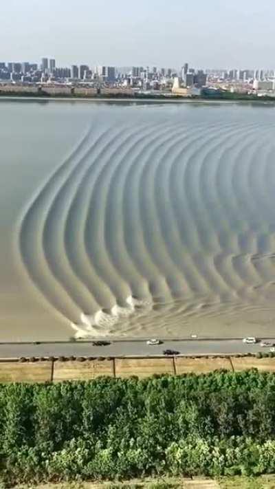 A tidal bore sweeping across a river